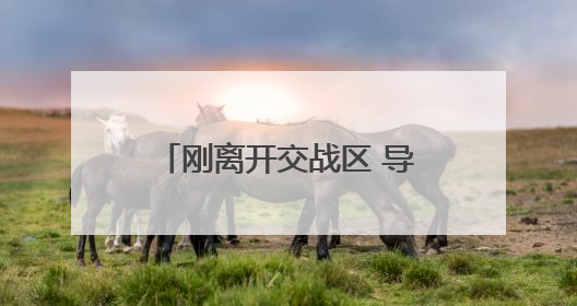 刚离开交战区 导弹就来了！华人讲述飞离巴基斯坦惊险经历｜封面头条