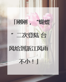 刚刚，“蝴蝶”二次登陆 台风给到浙江风雨不小！
