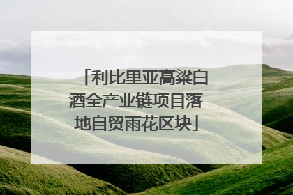 利比里亚高粱白酒全产业链项目落地自贸雨花区块