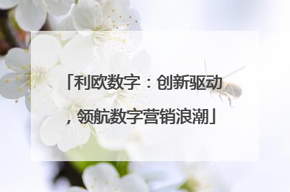 利欧数字：创新驱动，领航数字营销浪潮
