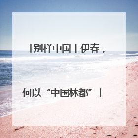 别样中国丨伊春，何以“中国林都”