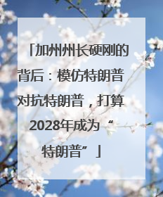 加州州长硬刚的背后：模仿特朗普对抗特朗普，打算2028年成为“特朗普”