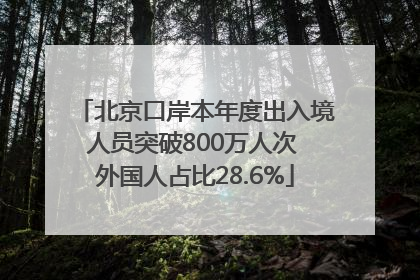 北京口岸本年度出入境人员突破800万人次 外国人占比28.6%