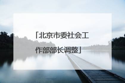 北京市委社会工作部部长调整