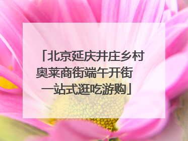 北京延庆井庄乡村奥莱商街端午开街 一站式逛吃游购