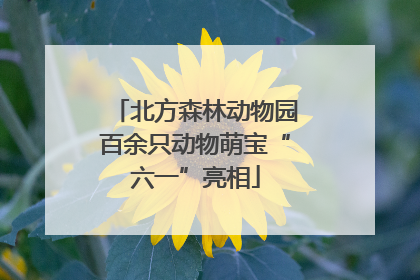 北方森林动物园百余只动物萌宝“六一”亮相