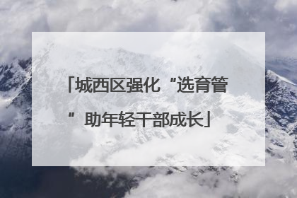 城西区强化“选育管”助年轻干部成长