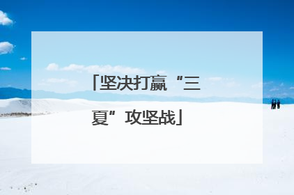 坚决打赢“三夏”攻坚战
