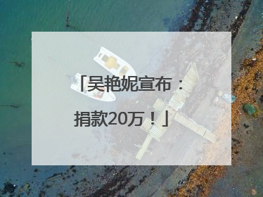 吴艳妮宣布：捐款20万！