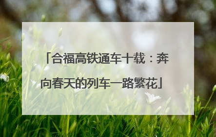 合福高铁通车十载：奔向春天的列车一路繁花