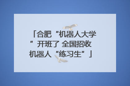 合肥“机器人大学”开班了 全国招收机器人“练习生”