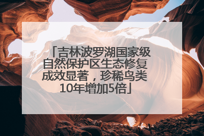 吉林波罗湖国家级自然保护区生态修复成效显著，珍稀鸟类10年增加5倍