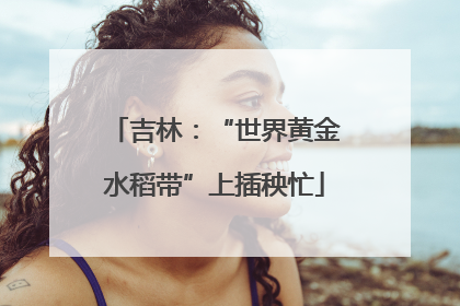 吉林：“世界黄金水稻带”上插秧忙
