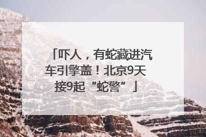 吓人，有蛇藏进汽车引擎盖！北京9天接9起“蛇警”