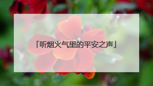 听烟火气里的平安之声