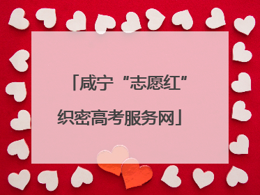 咸宁“志愿红”织密高考服务网