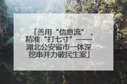 善用“信息流”，精准“打七寸”——湖北公安省市一体深挖串并力破民生案
