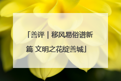 善评｜移风易俗谱新篇 文明之花绽善城