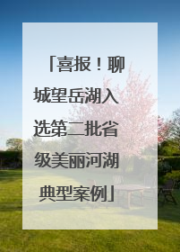 喜报！聊城望岳湖入选第二批省级美丽河湖典型案例