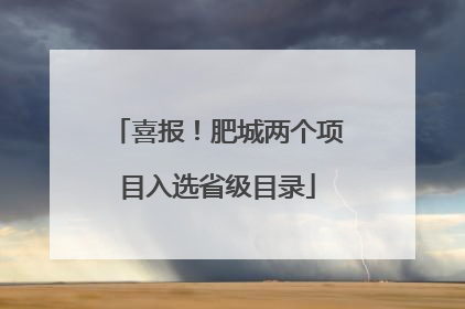 喜报！肥城两个项目入选省级目录