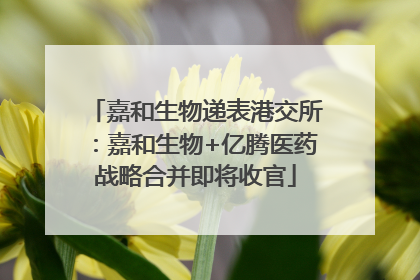 嘉和生物递表港交所：嘉和生物+亿腾医药战略合并即将收官