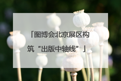 图博会北京展区构筑“出版中轴线”