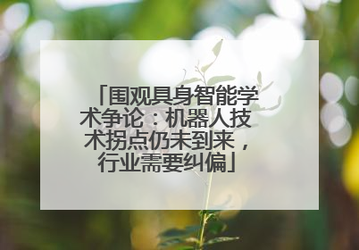 围观具身智能学术争论：机器人技术拐点仍未到来，行业需要纠偏