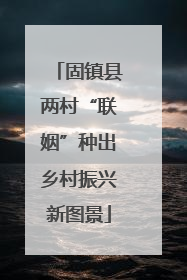 固镇县两村“联姻”种出乡村振兴新图景