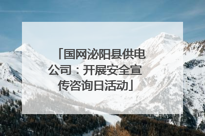 国网泌阳县供电公司：开展安全宣传咨询日活动