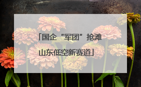 国企“军团”抢滩山东低空新赛道