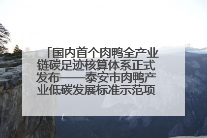 国内首个肉鸭全产业链碳足迹核算体系正式发布——泰安市肉鸭产业低碳发展标准示范项目顺利通过验收