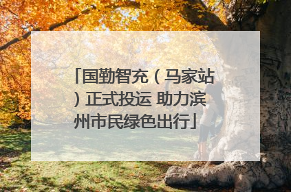 国勤智充（马家站）正式投运 助力滨州市民绿色出行