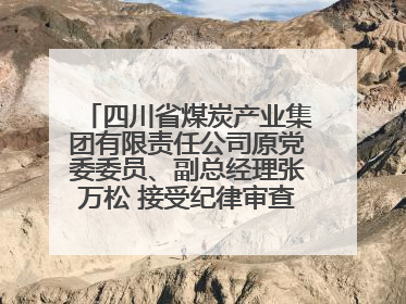 四川省煤炭产业集团有限责任公司原党委委员、副总经理张万松 接受纪律审查和监察调查