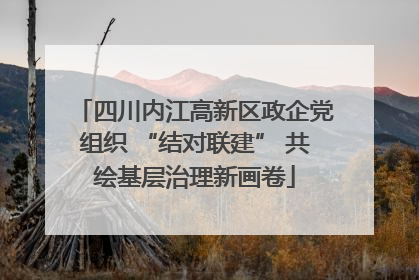 四川内江高新区政企党组织 “结对联建” 共绘基层治理新画卷