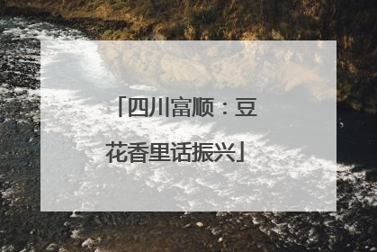四川富顺：豆花香里话振兴