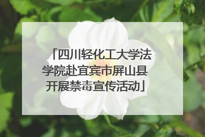 四川轻化工大学法学院赴宜宾市屏山县开展禁毒宣传活动