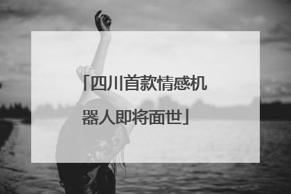四川首款情感机器人即将面世