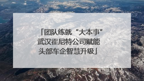 团队练就“大本事” 武汉霍尼特公司赋能头部车企智慧升级