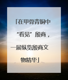 在甲骨青铜中“看见”殷商，一展纵览殷商文物精华