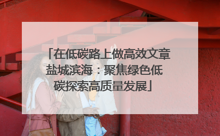 在低碳路上做高效文章 盐城滨海：聚焦绿色低碳探索高质量发展