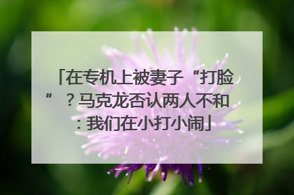在专机上被妻子“打脸”？马克龙否认两人不和：我们在小打小闹