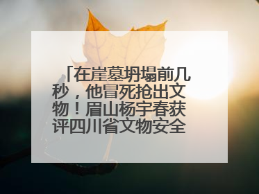 在崖墓坍塌前几秒，他冒死抢出文物！眉山杨宇春获评四川省文物安全守护者