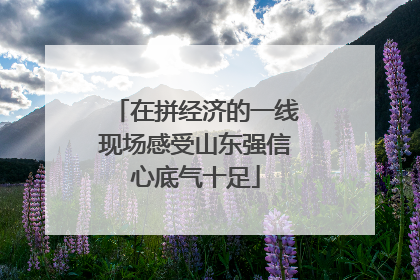 在拼经济的一线现场感受山东强信心底气十足