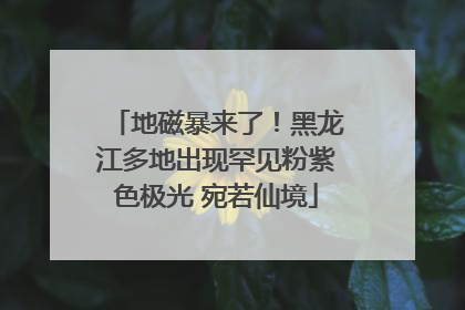 地磁暴来了！黑龙江多地出现罕见粉紫色极光 宛若仙境