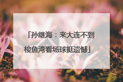 孙继海：来大连不到梭鱼湾看场球挺遗憾