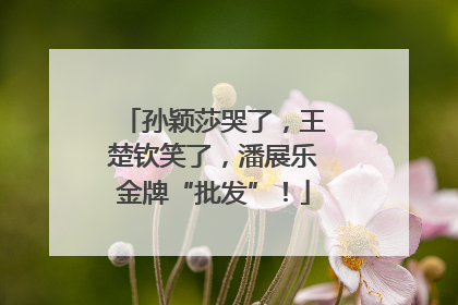 孙颖莎哭了，王楚钦笑了，潘展乐金牌“批发”！