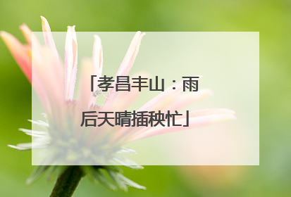 孝昌丰山：雨后天晴插秧忙