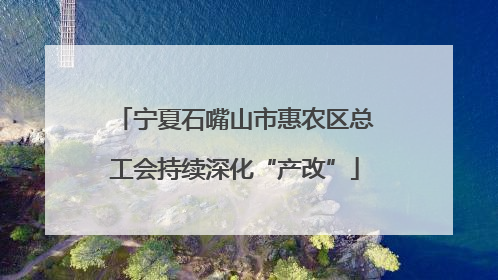 宁夏石嘴山市惠农区总工会持续深化“产改”