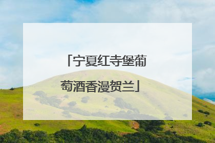 宁夏红寺堡葡萄酒香漫贺兰