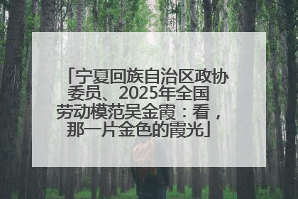 宁夏回族自治区政协委员、2025年全国劳动模范吴金霞：看，那一片金色的霞光